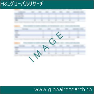 グローバルリサーチ調査レポートのイメージ